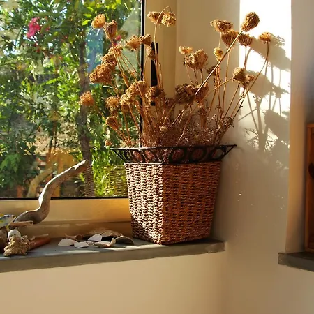 Buenavista Bed and breakfast Marina di Camerota